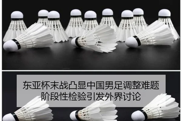 dong-ya-bei-mo-zhan-tu-xian-zhong-guo-nan-zu-tiao-zheng-nan-ti-jie-duan-xing-jian-yan-yin-fa-wai-jie-tao-lun-2-998.jpg